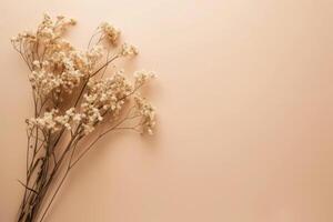 Understated Beige minimalist background with dry flowers. Generate ai photo