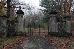 Mysterious old gate in autumn forest photo