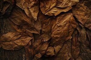 Overhead view of dry fallen leaves, showcasing the textures of autumn photo