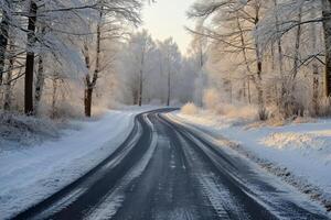 Curving road blanketed with snow flanked by frost-covered trees at sunrise photo