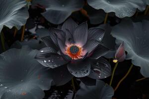 Alluring Black lotus flower in dark. Generate Ai photo