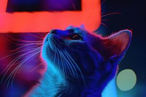 Neon dreams portrait of a cat bathed in colorful light photo