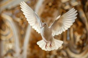 Graceful white dove flies with wings spread against a gilded background photo