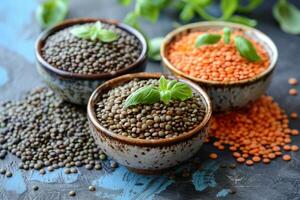 Three varieties of lentils with fresh basil in rustic bowls photo