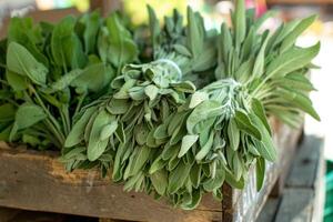 Fresh sage bundles overflowing from rustic wooden crate photo