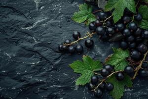 Freshly picked black currants with leaves resting on a wet slate background photo