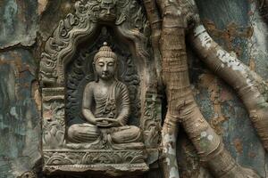 Tree roots growing around ancient stone buddha statue photo