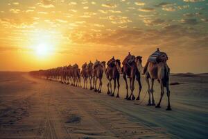 Camel caravan walking in single file through desert at sunset photo