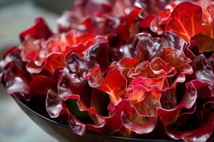 Red oak leaf lettuce growing in rows forming a textured background photo