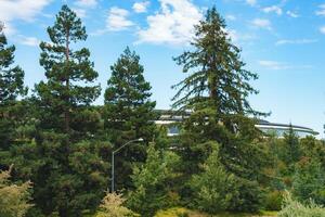 Explore a serene green landscape in Mountain View, CA. Towering trees, clear skies, and modern architecture create a tranquil setting in this park scene. photo