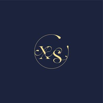design for wedding XS circle monogram letter luxury gold vector