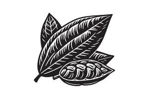 cocoa logo, cocoa bean, cocoa tree, cocoa branches and leaves. Simple illustration of cocoa branch icon vector
