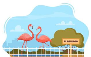 Flamingo on territory of wildlife zoo park surrounded by fence. illustration. vector