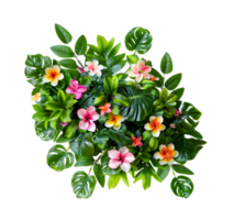 Tropical flower arrangement isolated on a transparent background png