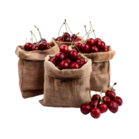 Bags of cherries isolated on a transparent background png