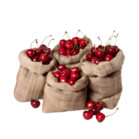 Bags of cherries isolated on a transparent background png