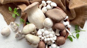 Assortment of various raw mushrooms on gray concrete background video
