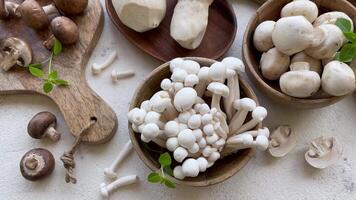 Assortment of various raw mushrooms on gray concrete background video