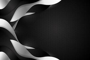 Abstract fluid background with black and white color vector