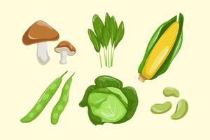 Set Collection of Vegetable Element vector
