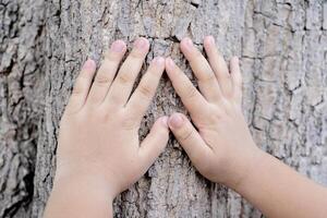 The child's hand is touching the tree. photo