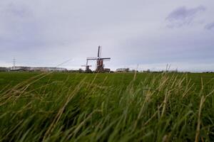 Mill in holland Leiderdorp photo