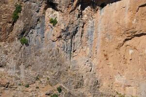 Rocky cliff with natural textures and sparse vegetation in the daytime photo