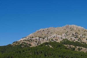 Scenic mountain view with clear blue sky and lush green trees photo