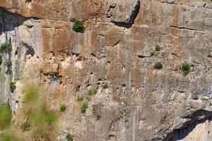 Steep rocky cliff face with sparse greenery and goats in natural habitat photo