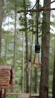 A Potrait of Lamp photo