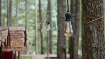 A Potrait of Lamp photo