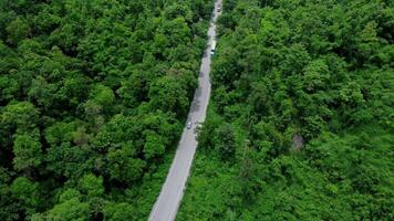 Aerial view of countryside asphalt road with car and green forest. Drive on the road between green forests. video