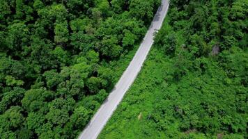 Aerial view of countryside asphalt road with car and green forest. Drive on the road between green forests. video