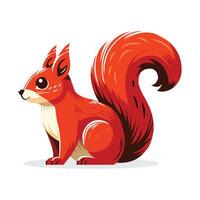 American Red Squirrel design vector