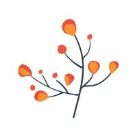 Folk plant. Simple red orange leaves on a branch. Autumn botany yellow berries Minimalistic style. Flat isolated vector