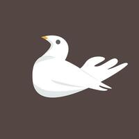 white dove illustrator in brown color background vector