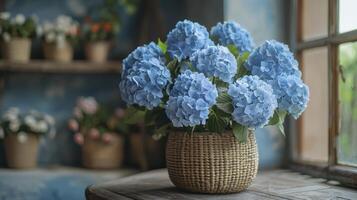 Hydrangea Flower Arrangement in Elegant Vase photo
