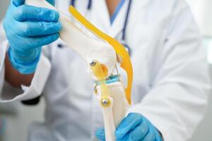 Knee osteoarthritis, Doctor showing model knee joint orthopedic. photo
