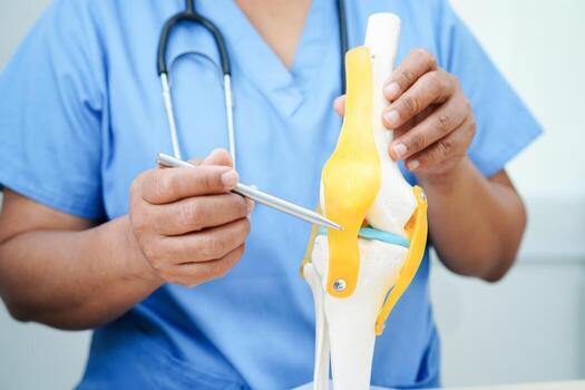 Knee osteoarthritis, Doctor showing model knee joint orthopedic. photo
