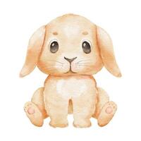 Cute cartoon rabbit isolated on white background. vector