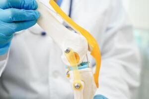 Knee osteoarthritis, Doctor showing model knee joint orthopedic. photo