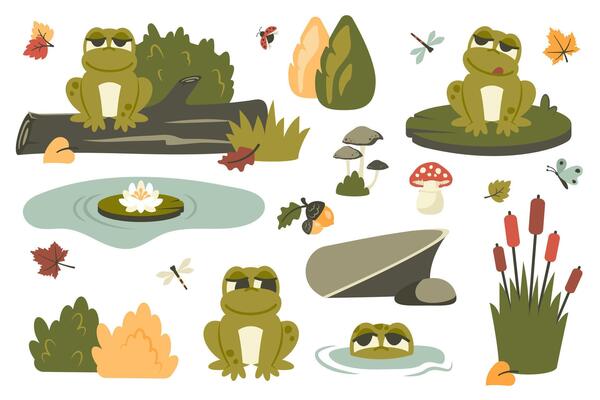 Set of cute frogs. Fall elements. Autumn foliage, lotus, flying insects, wildlife. Funny toads siiting on leaf, tree, in pond. Cartoon characters. flat illustration banner, poster, card