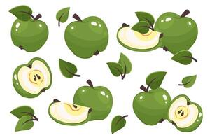 Set of whole, half and apple slice isolated on white background. Fresh ripe fruit with leaves close up. Apple top view.Organic food. illustration for healthy lifestyle, good nutrition vector