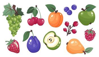 Set of fruits and berries isolated on white background. Fresh juices fruits slices and cuts. Fruits stickers. Apple, cherry, pear, grape, strawberry, plum, currant, blueberry. vector