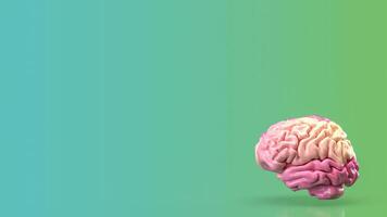 The pink brain for eduction or creative concept 3d rendering. photo