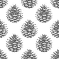 Seamless pattern, drawn pine cones on a white background. Silhouettes of cones background. Design for textiles, wallpaper vector