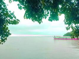 A beautiful landscape view of the hanging branches of trees on the banks of the river photo