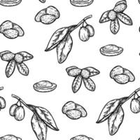 seamless pattern shea's nuts in line art style vector