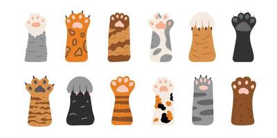 set of cute cat paws. Different cat paws. Collection of pets feet with claws and different fur. Objects isolated on white background. International day cats. vector