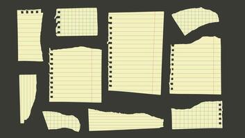 Notebook paper pieces of torn sheets of lined and square on black background. Set of ripped note list vector